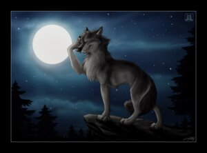 Rating: Explicit Score: 0 Tags: 2010 anatomically_correct anatomically_correct_genitalia animal_genitalia barely_visible_genitalia barely_visible_sheath canid canine canis chest_tuft conditional_dnp cool_colors detailed_background digitigrade e621 eyes_closed facepalm feral full_moon fully_sheathed fur genitals male mammal moon night outside plant quadruped sheath sky solo star starry_sky tail tani_da_real tree tuft wolf wood User: bunchy7s Rating: Explicit Score: 0 Tags: 2010 anatomically_correct anatomically_correct_genitalia animal_genitalia barely_visible_genitalia barely_visible_sheath canid canine canis chest_tuft conditional_dnp cool_colors detailed_background digitigrade e621 eyes_closed facepalm feral full_moon fully_sheathed fur genitals male mammal moon night outside plant quadruped sheath sky solo star starry_sky tail tani_da_real tree tuft wolf wood User: bunchy7s