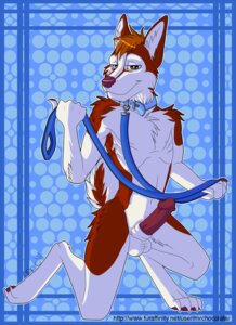 Rating: Explicit Score: 0 Tags: 2011 4_toes 5_fingers anthro balls biped blue_eyes blue_theme brown_body brown_eyes brown_fur brown_hair canid canine canis cel_shading claws collar digitigrade domestic_dog e621 erection feet fingers fur genitals hair heterochromia holding_leash holding_object humanoid_genitalia humanoid_penis husky inner_ear_fluff jessehusky kneeling leash looking_at_viewer male mammal mrchocolate nordic_sled_dog nude outline pattern_background penis raised_tail shaded short_hair simple_background smile solo spitz tail text toes tuft url white_body white_fur User: bunchy7s