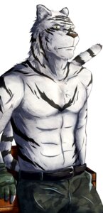 Rating: Safe Score: 0 Tags: belt bottomwear clothed clothing cookykao e621 felid gloves handwear hi_res looking_at_viewer male mammal pantherine pants simple_background solo stripes tiger topless User: bunchy7s