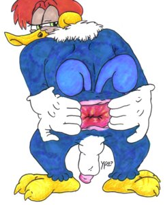 Rating: Explicit Score: 0 Tags: anthro furry goatse male male_only meme rule34 tagme the_woody_woodpecker_show universal_studios woody_woodpecker User: bunchy7s