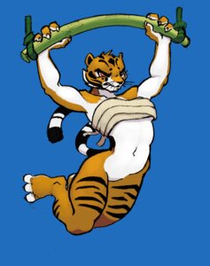 Rating: Questionable Score: 0 Tags: anthro bandage bottomless clothed clothing dreamworks e621 exercise felid female kung_fu_panda mammal master_tigress muscular muscular_anthro muscular_female pantherine pull-up_(exercise) pull_up_bar sadjack solo stripes tiger User: bunchy7s