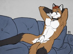 Rating: Explicit Score: 0 Tags: 4:3 animal_genitalia animal_penis anthro balls biceps biped blue_eyes canid canine canine_genitalia canine_penis collar e621 flaccid fox fur furniture genitals hair looking_at_viewer luminblaze_(tsaiwolf) male mammal muscular muscular_anthro muscular_male nude pecs penis penis_tip pose reclining red_hair relaxing sheath sofa solo tail tsaiwolf User: bunchy7s
