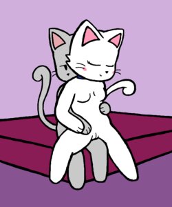 Rating: Explicit Score: 0 Tags: 5:6 anthro breasts collar domestic_cat duo e621 felid feline felis female genitals male mammal nan_(character) nude pronista sam_(pronista) vulva User: bunchy7s