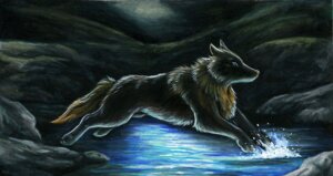 Rating: Safe Score: 0 Tags: action_pose ambiguous_gender canid canine detailed detailed_background digitigrade e621 feral full-length_portrait fur ladyjekyll mammal nude outside portrait pose quadruped realistic solo tail traditional_media_(artwork) water User: bunchy7s Rating: Safe Score: 0 Tags: action_pose ambiguous_gender canid canine detailed detailed_background digitigrade e621 feral full-length_portrait fur ladyjekyll mammal nude outside portrait pose quadruped realistic solo tail traditional_media_(artwork) water User: bunchy7s