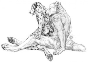 Rating: Explicit Score: 0 Tags: 2012 4_toes anal anal_penetration animal_genitalia anthro blotch canid canine canis claws dalmatian digitigrade domestic_dog duo e621 erection eyes_closed feet finger_claws fur genitals hindpaw male male/male male_penetrated male_penetrating male_penetrating_male mammal monochrome nude pawpads paws penetration penis scratches_volume_6 sex simple_background sitting soles spots tail toe_claws toes tongue tongue_out traditional_media_(artwork) white_background User: bunchy7s Rating: Explicit Score: 0 Tags: 2012 4_toes anal anal_penetration animal_genitalia anthro blotch canid canine canis claws dalmatian digitigrade domestic_dog duo e621 erection eyes_closed feet finger_claws fur genitals hindpaw male male/male male_penetrated male_penetrating male_penetrating_male mammal monochrome nude pawpads paws penetration penis scratches_volume_6 sex simple_background sitting soles spots tail toe_claws toes tongue tongue_out traditional_media_(artwork) white_background User: bunchy7s