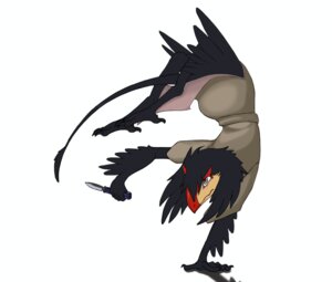 Rating: Safe Score: 0 Tags: 2010 3_toes 5_fingers action_pose anthro avian barefoot beak biped black_body black_feathers butterfly_knife claws clothed clothing e621 feathers feet fingers fully_clothed grey_eyes handstand holding_object holding_weapon knife kp-yoshi male nevrean on_one_hand pose reverse_grip simple_background solo tail toes weapon white_background yung_yagili User: bunchy7s Rating: Safe Score: 0 Tags: 2010 3_toes 5_fingers action_pose anthro avian barefoot beak biped black_body black_feathers butterfly_knife claws clothed clothing e621 feathers feet fingers fully_clothed grey_eyes handstand holding_object holding_weapon knife kp-yoshi male nevrean on_one_hand pose reverse_grip simple_background solo tail toes weapon white_background yung_yagili User: bunchy7s