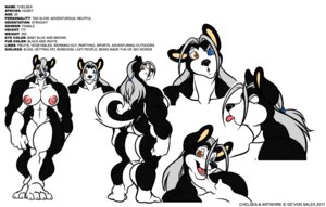 Rating: Explicit Score: 0 Tags: 2011 abs anthro biceps black_body black_fur black_nose breasts butt canid canine canis chelsea_(deonwolf) deonwolf domestic_dog e621 english_text female fur grey_hair hair heterochromia husky long_hair looking_at_viewer mammal model_sheet muscular muscular_anthro muscular_female nipples nordic_sled_dog nude open_mouth raised_tail side_view simple_background solo spitz tail text white_background white_body white_fur wide_hips User: bunchy7s