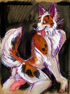 Rating: Explicit Score: 0 Tags: animal_genitalia animal_penis anthro canid canine canine_genitalia canine_penis canis domestic_dog e621 erection genitals java knot male mammal nude penis solo tail User: bunchy7s Rating: Explicit Score: 0 Tags: animal_genitalia animal_penis anthro canid canine canine_genitalia canine_penis canis domestic_dog e621 erection genitals java knot male mammal nude penis solo tail User: bunchy7s