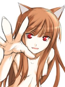 Rating: Questionable Score: 0 Tags: 1girls animal_ears breasts brown_hair female holo nude red_eyes ribi rule34 small_breasts spice_and_wolf wolf_ears User: bunchy7s