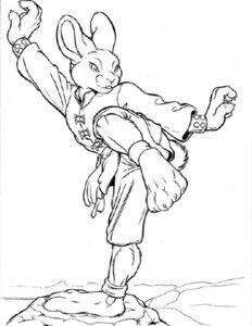 Rating: Safe Score: 0 Tags: 4_toes 5_fingers anthro barefoot biped black_and_white claws clothed clothing e621 feet female fingers lagomorph leporid line_art low_res mammal monochrome on_one_leg pose rabbit raised_leg rock simple_background solo standing toes unknown_artist warrior white_background User: bunchy7s