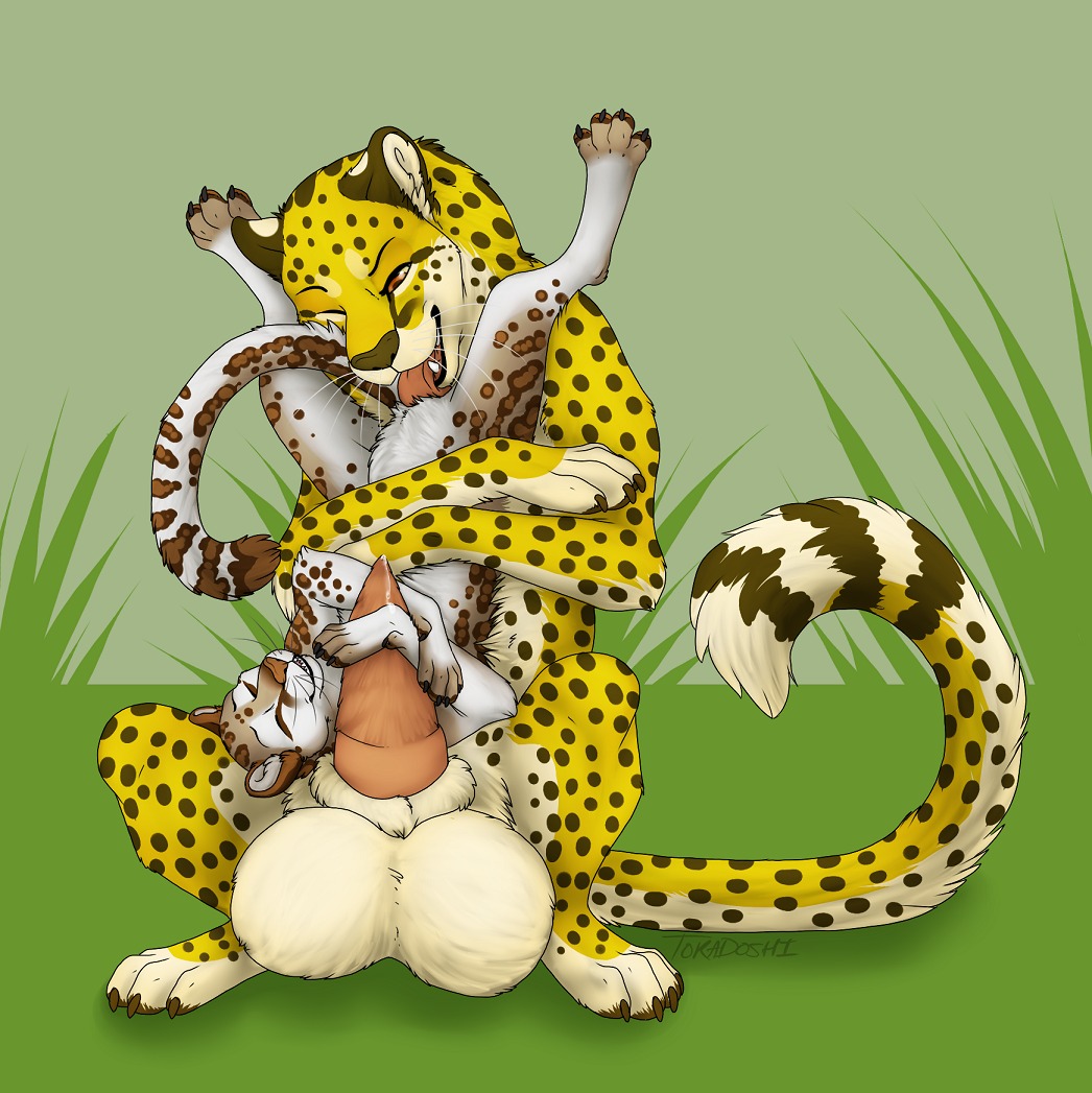 anthro anthro_on_feral balls bestiality big_balls bodily_fluids cheetah cum cunnilingus duo e621 erection eyes_closed felid feline female feral fur genital_fluids genitals huge_balls hyper hyper_balls hyper_genitalia jasiri licking male male/female mammal one_eye_closed oral paws penis sex spots tail teeth tongue tongue_out toradoshi vaginal white_body white_fur yellow_body yellow_fur