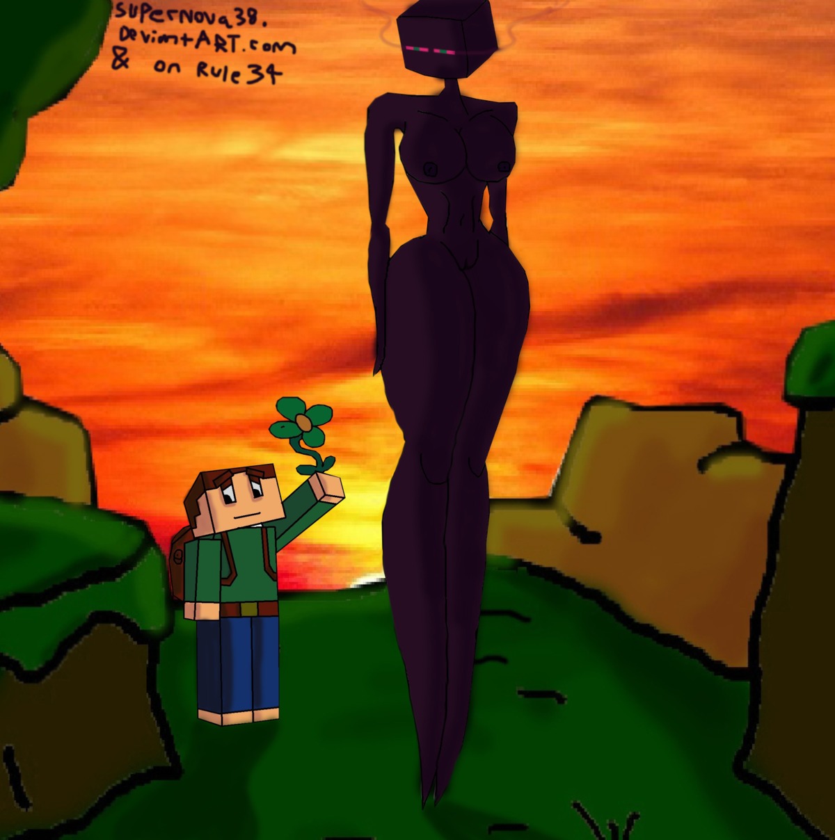 enderman enderwoman female male minecraft rule34 smaller_male tagme taller_female