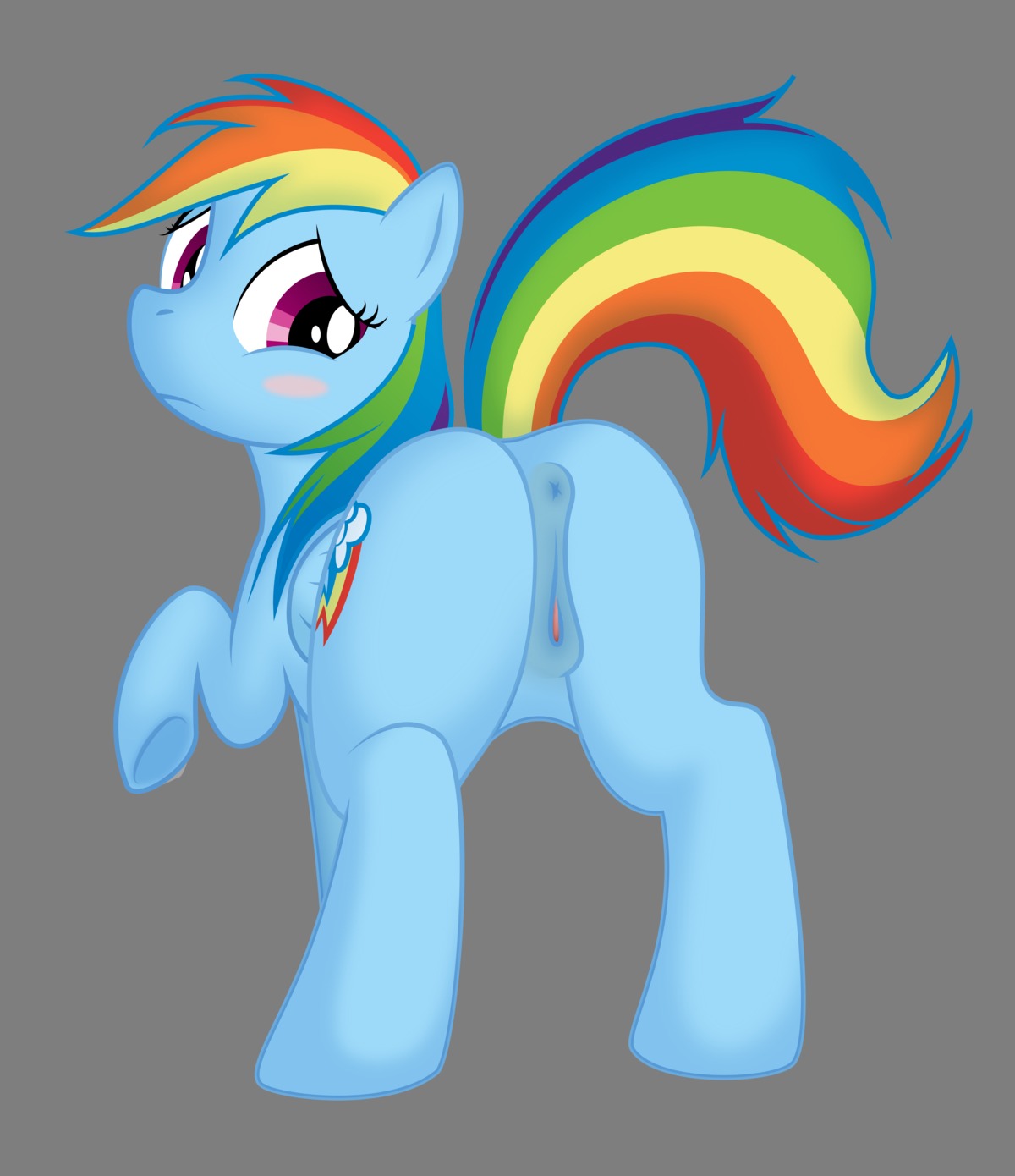 2013 absurd_res alpha_channel anatomically_correct anatomically_correct_anus anatomically_correct_genitalia anatomically_correct_vulva animal_genitalia animal_vulva anus blue_body blue_feathers blue_fur blush butt cutie_mark e621 equid equine equine_genitalia equine_vulva feathered_wings feathers female feral fluffyxai friendship_is_magic fur genitals hair hasbro hi_res mammal multicolored_hair multicolored_tail my_little_pony mythological_creature mythological_equine mythology pegasus pinup pose presenting presenting_hindquarters purple_eyes rainbow_dash_(mlp) rainbow_hair rainbow_tail rear_view shy simple_background solo spread_legs spreading tail transparent_background vulva wings xaigatomon