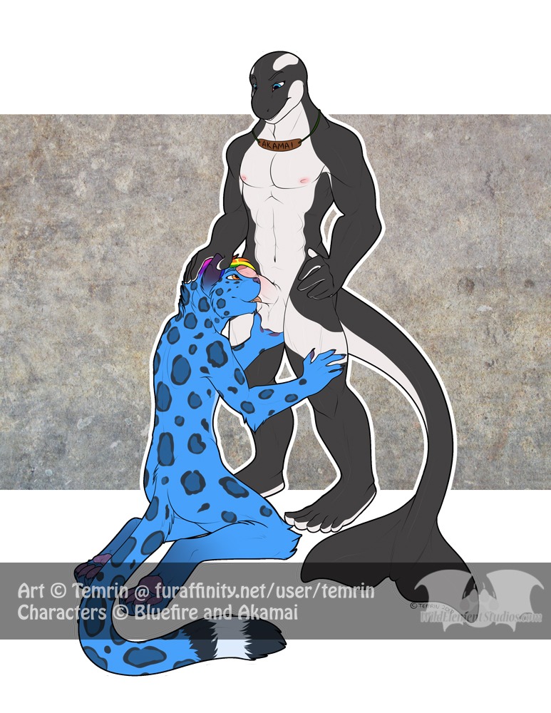 2013 abs akamai anthro aquatic ball_fondling balls biceps big_muscles big_penis black_body black_skin blue_body blue_eyes blue_fur bluefire cetacean digitigrade dolphin duo e621 erection feet felid fellatio fin fondling foreskin fur genitals hair hindpaw humanoid_feet humanoid_genitalia humanoid_penis interspecies jaguar kneeling licking male male/male male_penetrated male_penetrating male_penetrating_male mammal multicolored_hair muscular muscular_male navel nipples nude oceanic_dolphin oral orange_eyes orca pantherine partially_retracted_foreskin pawpads paws pecs penetration penile penis penis_lick plantigrade rainbow rainbow_hair romantic romantic_couple sex smile spots standing temrin text thick_thighs tongue tongue_out toothed_whale url