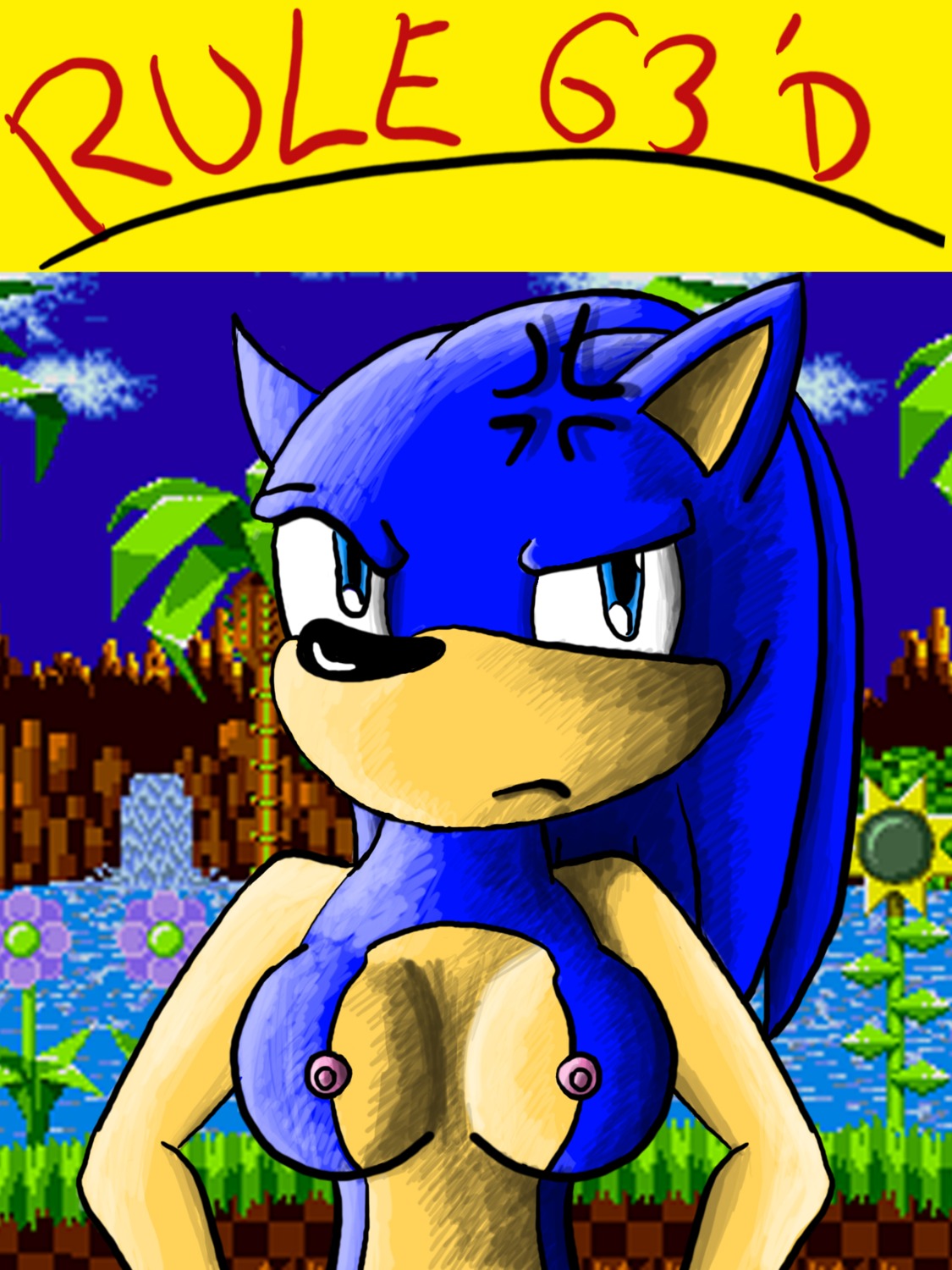 anthro beige_skin black_nose blue_eyes blue_fur blue_hair breasts color ears exposed_breasts eyes female female_only front_view fur furry furry_ears hair hedgehog nose nudity open_eyes pointy_ears rule34 rule_63 skin solo sonic_(series) sonic_the_hedgehog