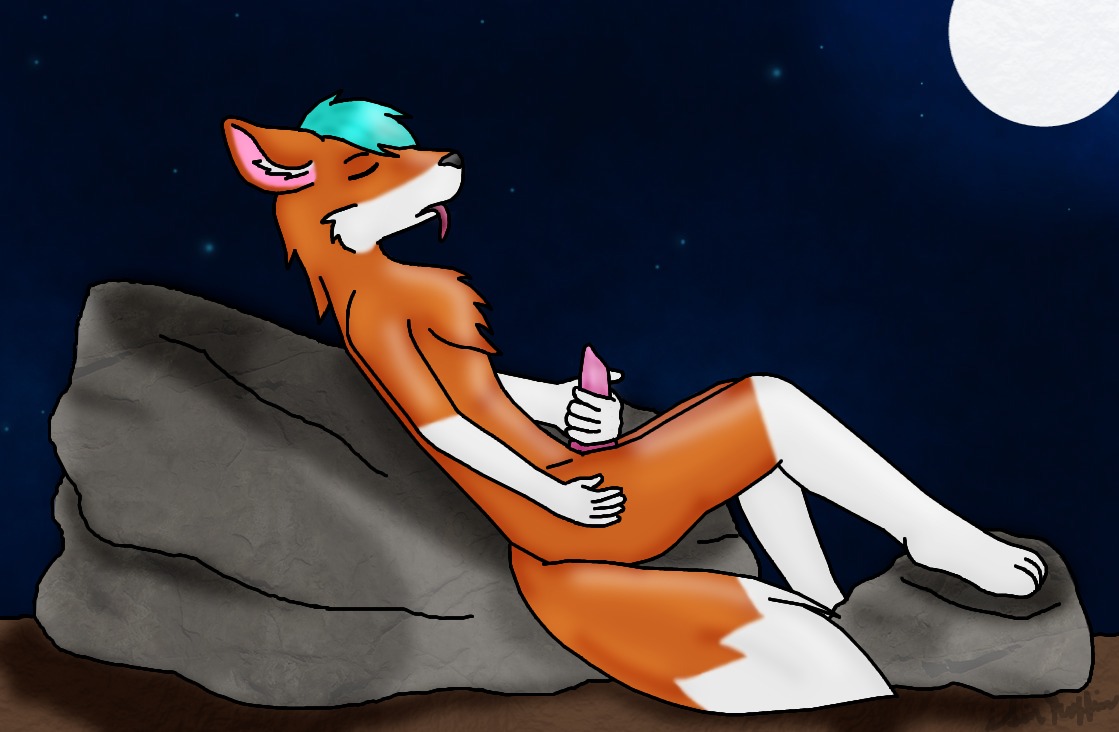 anthro boulder canid canine canis dipstick_tail e621 erection fox genitals isinmuffin male mammal markings masturbation moon night orange_body outside penile penile_masturbation penis rock sky solo star starry_sky tail tail_markings tongue wolf wolfic