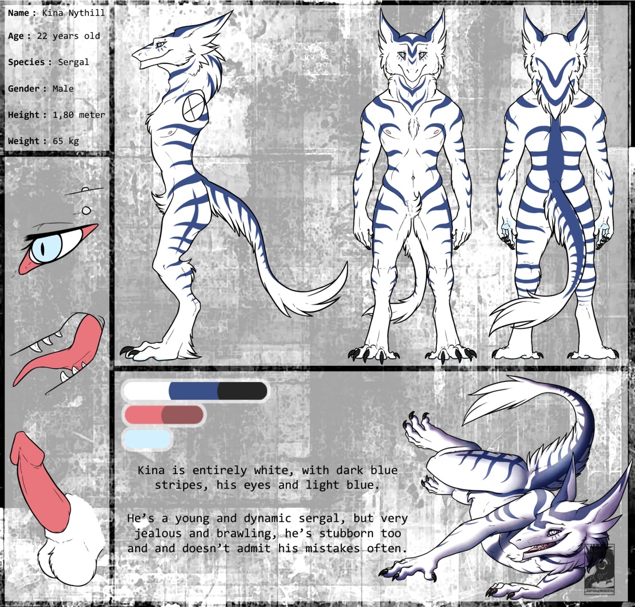 color_swatch e621 english_text erection femboy fur genitals hi_res japandragon kina_nythill looking_at_viewer male mammal model_sheet nude open_mouth paws penis sergal side_view solo tail text tongue tongue_out turnaround white_body white_fur