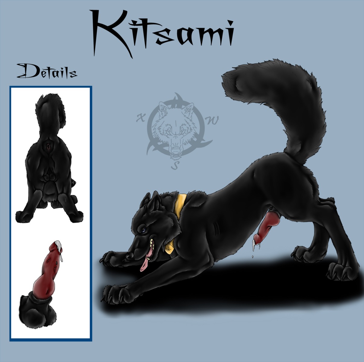animal_genitalia anus black_body black_fur bodily_fluids canid canine canis collar cum digital_media_(artwork) e621 erection feral fur genital_fluids genitals hi_res looking_at_viewer male mammal model_sheet penis sheath side_view solo tail teeth tongue wet wolf xarox