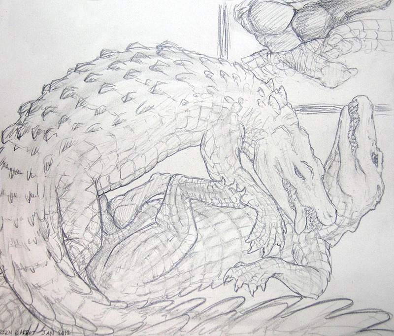 2012 anal anal_penetration anatomically_correct anatomically_correct_genitalia anatomically_correct_penis animal_genitalia animal_penis claws cloaca cloacal cloacal_penetration cloacal_penis crocodile crocodilian crocodilian_penis dominant dominant_male duo e621 erection feral feral_on_feral genitals graphite_(artwork) greyscale inside internal looking_at_viewer looking_pleasured looking_up male male/male male_penetrated male_penetrating male_penetrating_male membrane_(anatomy) monochrome penetration penile penis reptile rienkarrot scalie sex slit_penetration slit_play tail tongue traditional_media_(artwork) webbed_hands