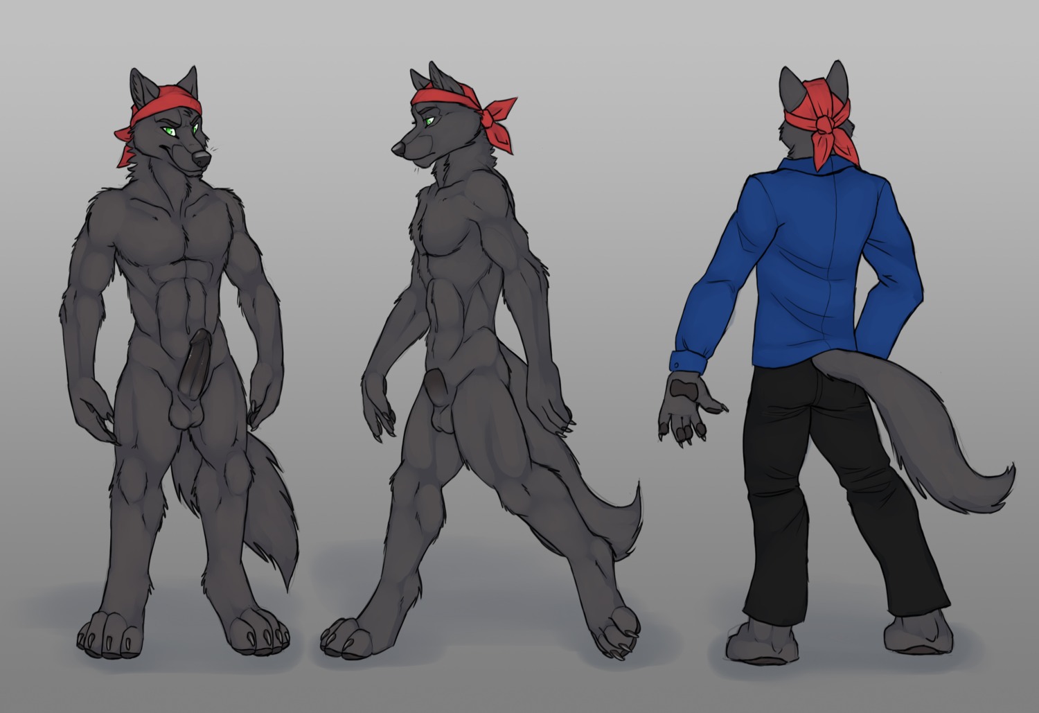abs absurd_res animal_genitalia animal_penis anthro balls biceps big_muscles black_body black_bottomwear black_clothing black_fur black_pants black_penis blue_clothing blue_shirt blue_topwear bottomwear canid canine canis claws clothed clothing disc_jockey e621 erection flaccid fully_clothed fully_sheathed fur genitals green_eyes hi_res humanoid_genitalia humanoid_penis kerchief lupine_assassin male mammal model_sheet muscular muscular_anthro muscular_male naturally_unclothed nude off/on pants paws pecs penis pose red_kerchief sheath shirt side_view solo tail toe_claws topwear tsaiwolf turnaround wolf
