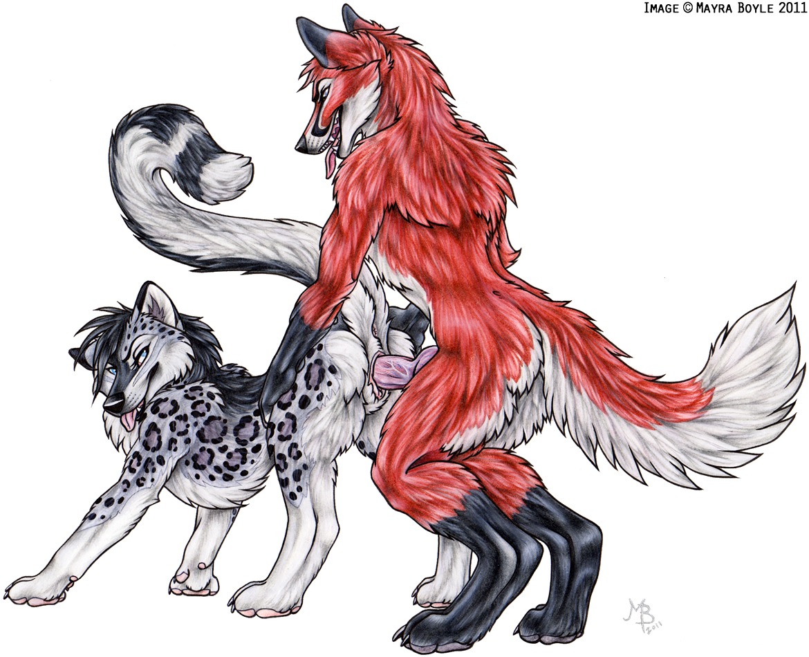 2011 anthro canine female feral fox fur furry_ears furry_tail huskie hybrid knot male mayra_boyle rule34 schnolf straight tail
