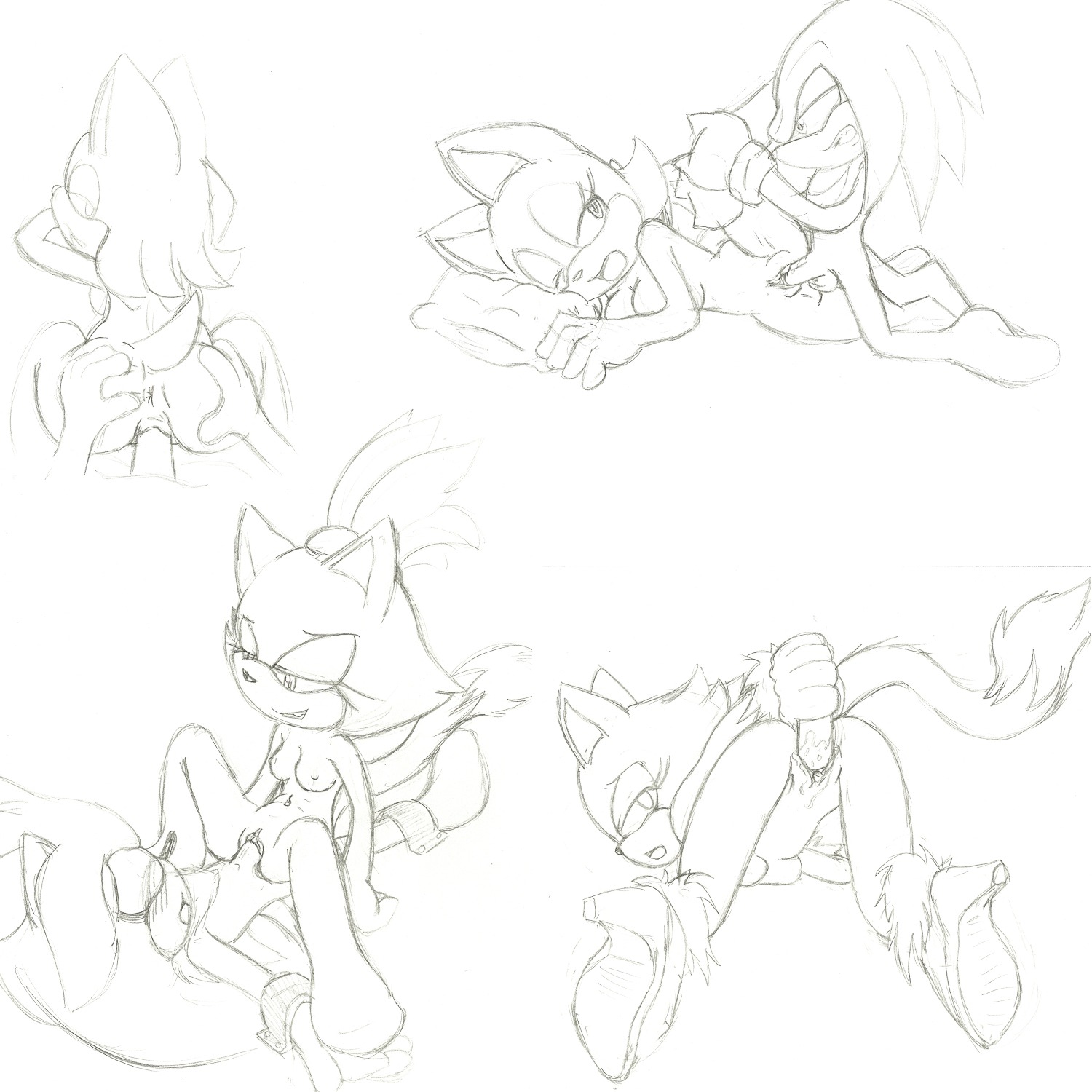 1:1 anthro bat blaze_the_cat clothing dildo domestic_cat duo e621 echidna erection eulipotyphlan felid feline felis female footwear frozesolidfox genitals hedgehog hi_res knuckles_the_echidna male male/female male_penetrating mammal masturbation monotreme multiple_positions penetration penis rouge_the_bat sega sex sex_toy shoes silver_the_hedgehog sonic_the_hedgehog_(series) tail toying_self vaginal vaginal_masturbation vaginal_penetration vulva