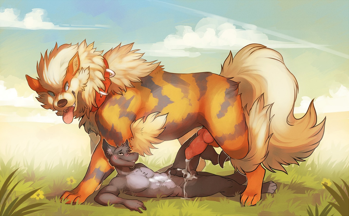 after_sex animal_genitalia animal_penis anthro anthro_on_feral arcanine balls bestiality blue_eyes bodily_fluids canid canine canine_genitalia canine_penis cloud collar cum cum_on_balls cum_on_belly cum_on_body cum_on_leg cum_on_own_belly cum_on_penis cum_on_self digitigrade duo e621 erection feral generation_1_pokemon genital_fluids genitals hoot_(artist) interspecies knot larger_feral larger_male male male/male male_on_feral mammal nintendo open_mouth outside penis pokemon pokemon_(species) pokephilia sharp_teeth size_difference sky smaller_anthro smaller_male sovy teeth tongue tongue_out