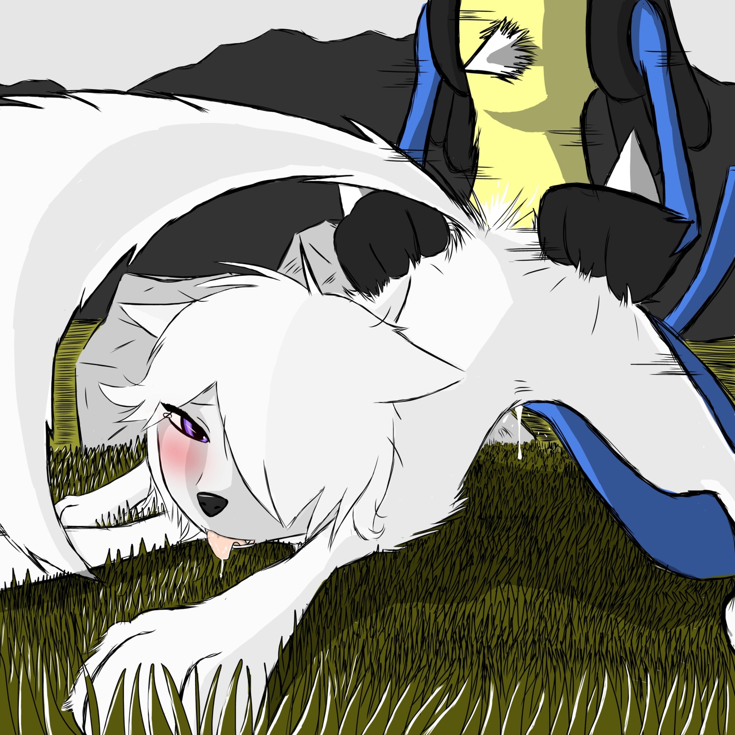 1:1 absurd_res all_fours alpha_and_omega anthro anthro_on_feral anthro_penetrating anthro_penetrating_female anthro_penetrating_feral bestiality blue_body blue_fur blush bodily_fluids canid canine canis crossover cum doggystyle duo e621 faceless_character faceless_male female female_on_anthro female_penetrated feral feral_penetrated from_behind_position fur generation_4_pokemon genital_fluids grass hi_res interspecies ketzio lilly_(alpha_and_omega) lucario male male/female male_on_feral male_penetrating male_penetrating_female male_penetrating_feral mammal motion_lines nintendo penetration plant pokemon pokemon_(species) purple_eyes saliva sex spikes tail tongue tongue_out white_body white_fur wolf