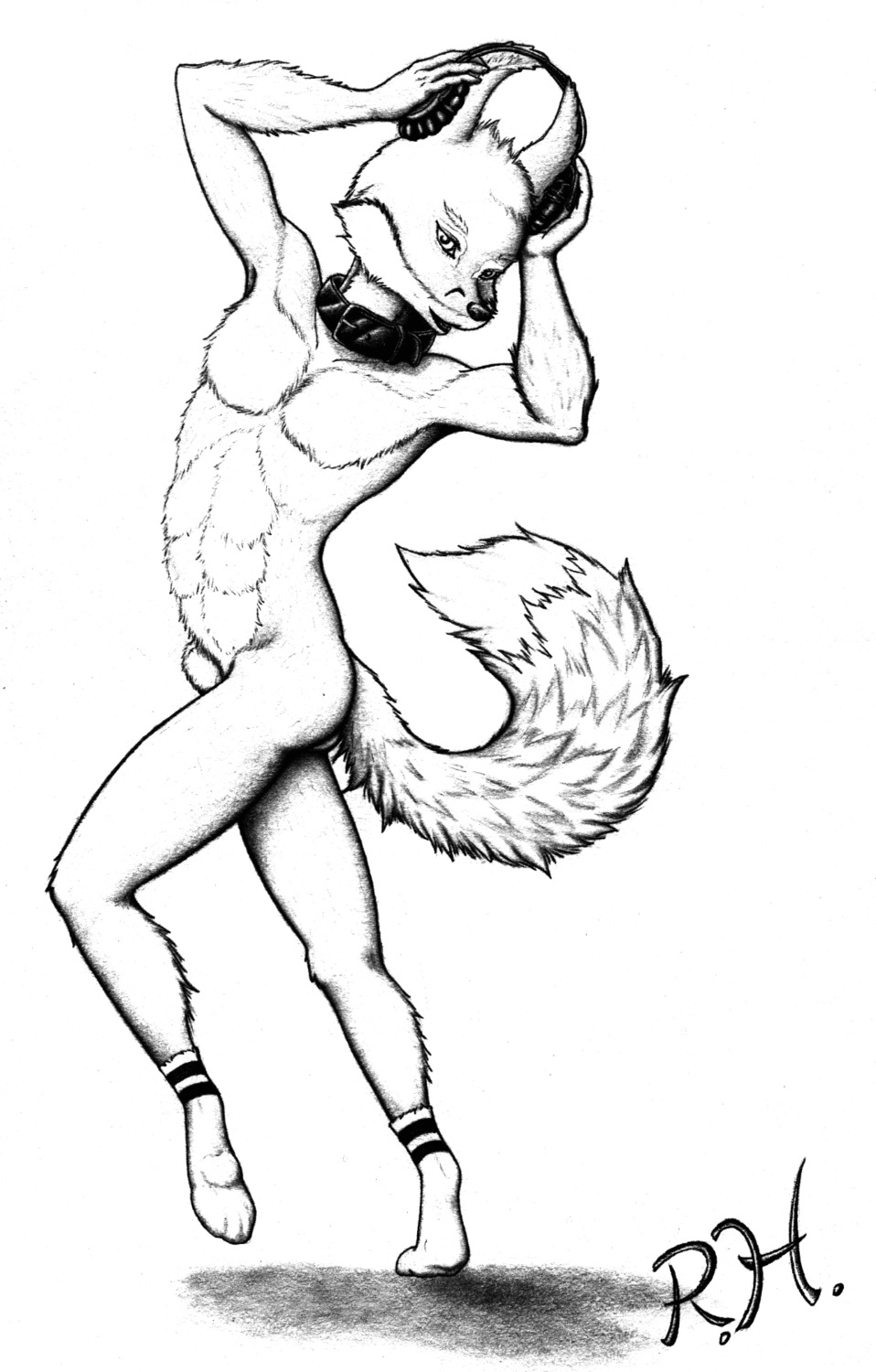 animal_genitalia anthro canid canine clothing collar dancing e621 electronics footwear fox fully_sheathed genitals headphones hi_res legwear male mammal monochrome music nude rainbow_huskie sheath simple_background socks solo tail unknown_artist white_background