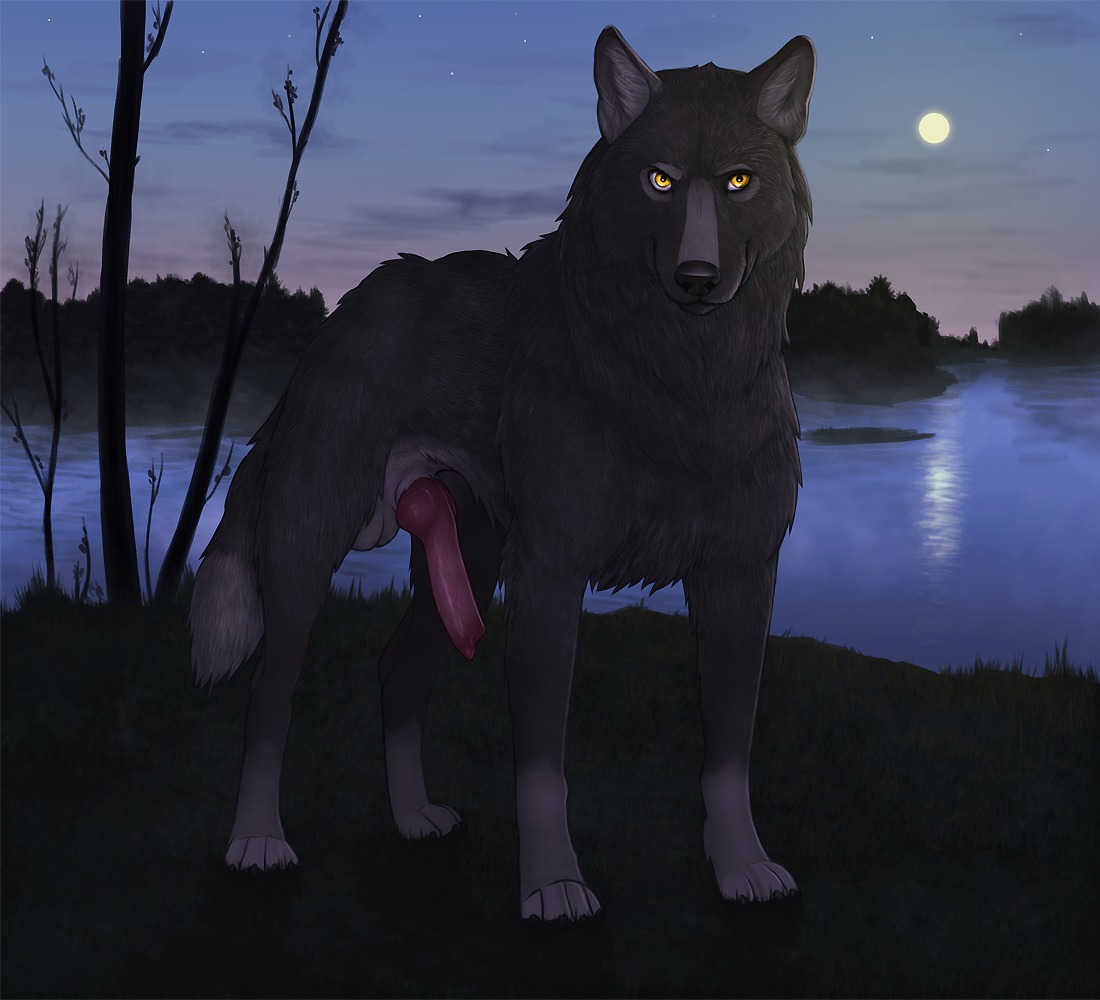 anatomically_correct anatomically_correct_genitalia anatomically_correct_penis animal_genitalia animal_penis balls canid canine canine_genitalia canine_penis canis claws cloud detailed_background e621 erection feral genitals knot looking_at_viewer male malwolf mammal moon nature naughty_face night nude outside penis sheath sky solo star starry_sky virtyalfobo water wolf yellow_eyes