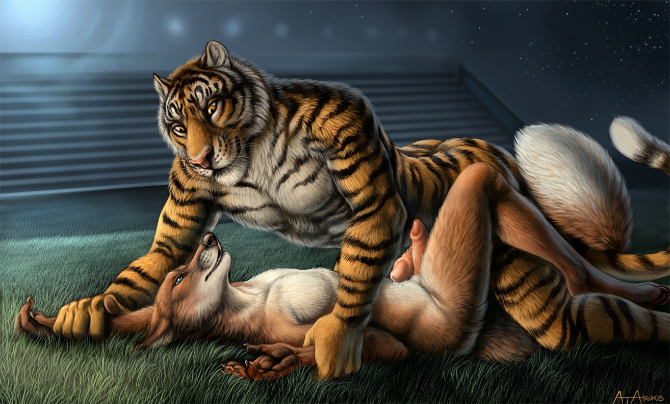2014 abs all_fours amber_eyes animal_genitalia animal_penis anthro arm_grab athletic biceps black_body black_fur black_markings black_nose black_pawpads black_stripes blue_eyes bodily_fluids brown_body brown_fur canid canine canine_genitalia canine_penis claws cum cum_string detached_sheath detailed detailed_background devlin_miski digital_media_(artwork) dipstick_tail dominant duo e621 erection eye_contact feet felid fluffy fluffy_tail forester_universe fox frottage fur genital_fluids genitals glans grass grin half-closed_eyes happy hindpaw humanoid_genitalia humanoid_penis interspecies kneeling larger_dom larger_male leaking looking_at_another love lying male male/male mammal markings muscular narrowed_eyes night nude on_back on_ground orange_body orange_eyes orange_fur out_of_position outside pantherine pawpads paws pecs penile penile_spines penis penises_touching petting pink_nose pink_penis pinned pinned_arms plant precum red_fox romantic romantic_ambiance romantic_couple rukis seductive sex sheath side_view size_difference sky smaller_male smile stadium star starry_sky striped_body striped_fur stripes tail tail_markings tan_body tan_fur tiger true_fox whisker_markings whisker_spots whiskers white_body white_fur white_sheath wiley_farrel yellow_body yellow_eyes yellow_fur