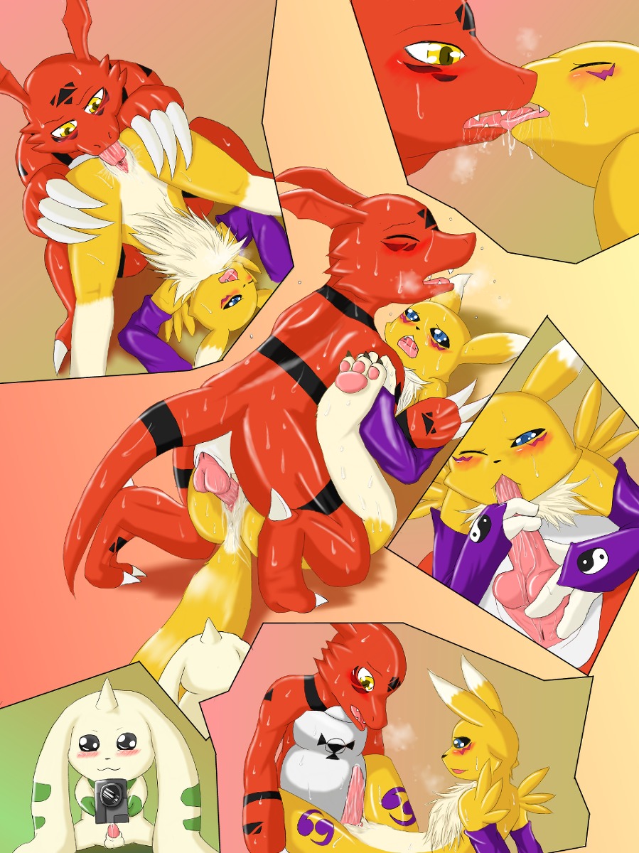 anal anthro camera canine color digimon digimon_(species) female fox fur furry guilmon interspecies kissing male multiple_males pussy renamon reptile rule34 scalie sex straight tagme terriermon vaginal_penetration