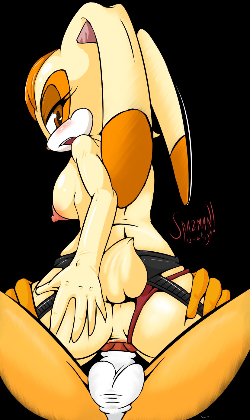 2013 anal anal_knotting anal_penetration anthro areola balls big_breasts breasts brown_eyes butt canid canine canon_x_oc clothing cowgirl_position duo e621 erect_nipples erection fan_character female female_on_top female_penetrated fox from_front_position genitals hair hi_res kai_the_fox knot knotting lagomorph leporid looking_back male male/female male_on_bottom male_penetrating male_penetrating_female mammal mature_anthro mature_female mother_(lore) nipples nude on_bottom on_top orange_hair panties parent_(lore) penetration penis rabbit rear_view scut_tail sega sex short_tail side_boob sonic_the_hedgehog_(series) spazman tail underwear vanilla_the_rabbit