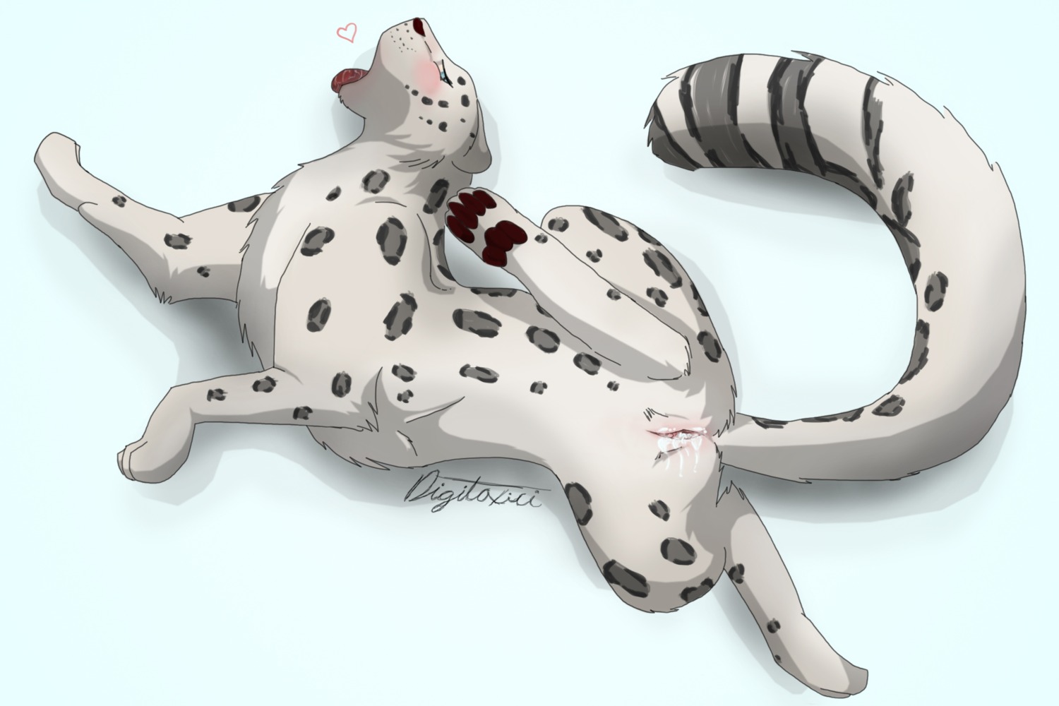 3:2 4_toes black_nose blue_eyes blush bodily_fluids clitoris digitigrade digitoxici e621 feet felid female feral fur genital_fluids genitals grey_body grey_fur heart_symbol hi_res hindpaw in_heat leopard looking_at_viewer lying mammal multicolored_body multicolored_fur on_back open_mouth pantherine pawpads paws presenting quadruped saliva simple_background snow_leopard soles solo spots spread_legs spreading stripes tail toes tongue tongue_out two_tone_body two_tone_fur vaginal_fluids vulva