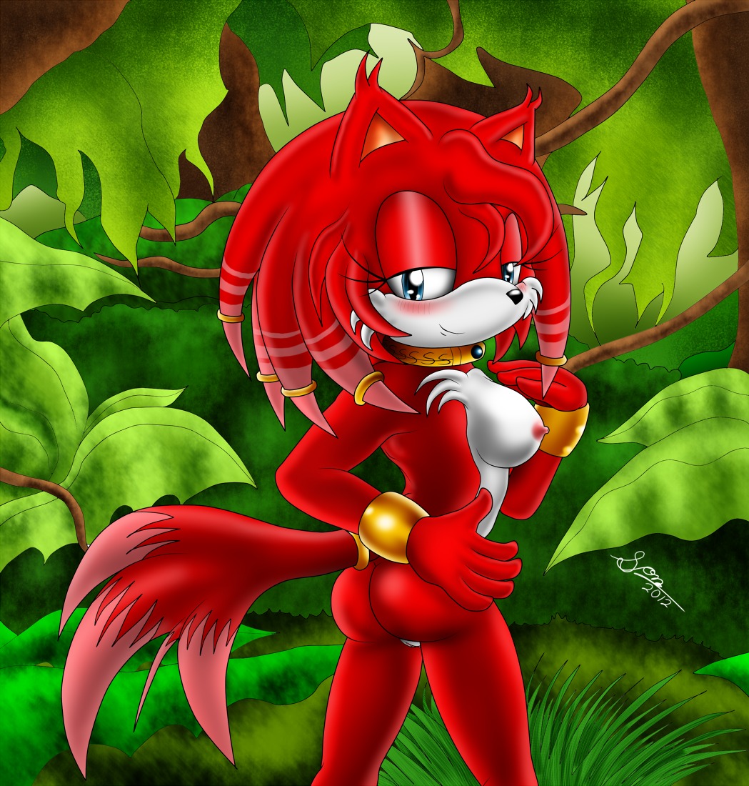 2012 anthro bigdon1992 blackrosewriter blush breasts butt canid canine e621 echidna fan_character female fluffy fluffy_tail fox genitals hybrid kako looking_at_viewer mammal monotreme nipples nude sega smile solo sonic_the_hedgehog_(series) tail vulva