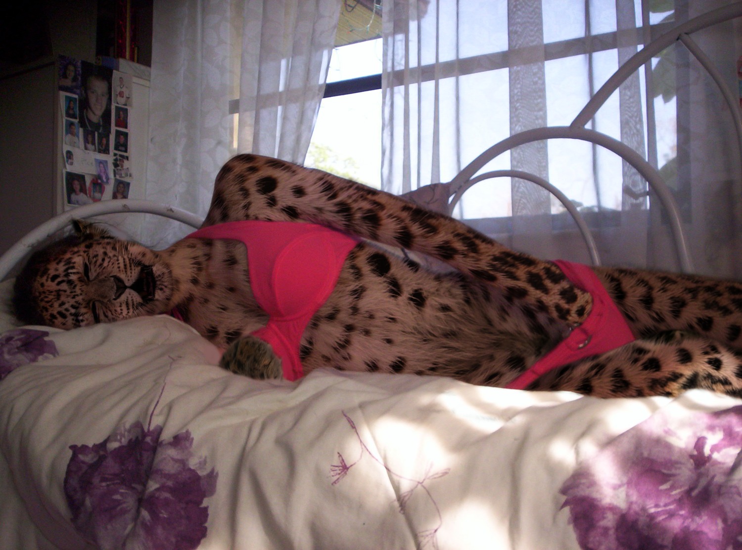 anthro clothed clothing e621 felid female hi_res leopard localphotomorpher mammal masturbation open_mouth pantherine photo_manipulation photomorph solo third-party_edit underwear vaginal vaginal_masturbation