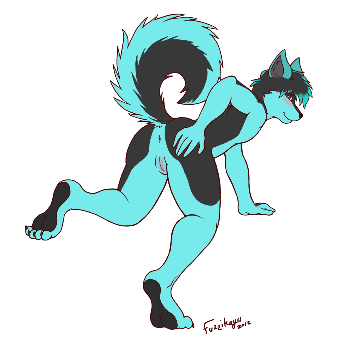 anthro anus ass bent_over black_fur blush canine cuntboy cyan_fur fur furry fuzzikayu green_eyes hair husky intersex looking_at_viewer miloh rule34 solo