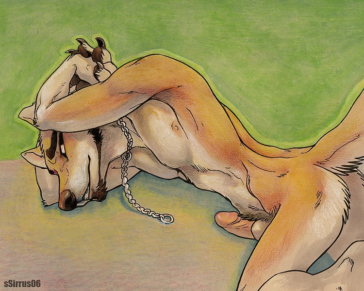 2006 5:4 anthro balls canid canine canis chain chain_leash dingo e621 erection facial_hair genitals goatee hands_behind_head humanoid_genitalia humanoid_penis leash male mammal nude penis pubes solo ssirrus tail traditional_media_(artwork)