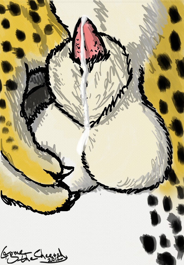 2012 animal_genitalia animal_penis ball_grab balls bodily_fluids cheetah close-up cryme_the_cheetah cum e621 felid feline feline_genitalia feline_penis fondling fur genital_fluids genitals hand_on_balls hand_on_own_balls khraym male mammal nude penile_spines penis penis_tip precum presenting realistic sheath sketch solo spots white_body white_fur yellow_body yellow_fur