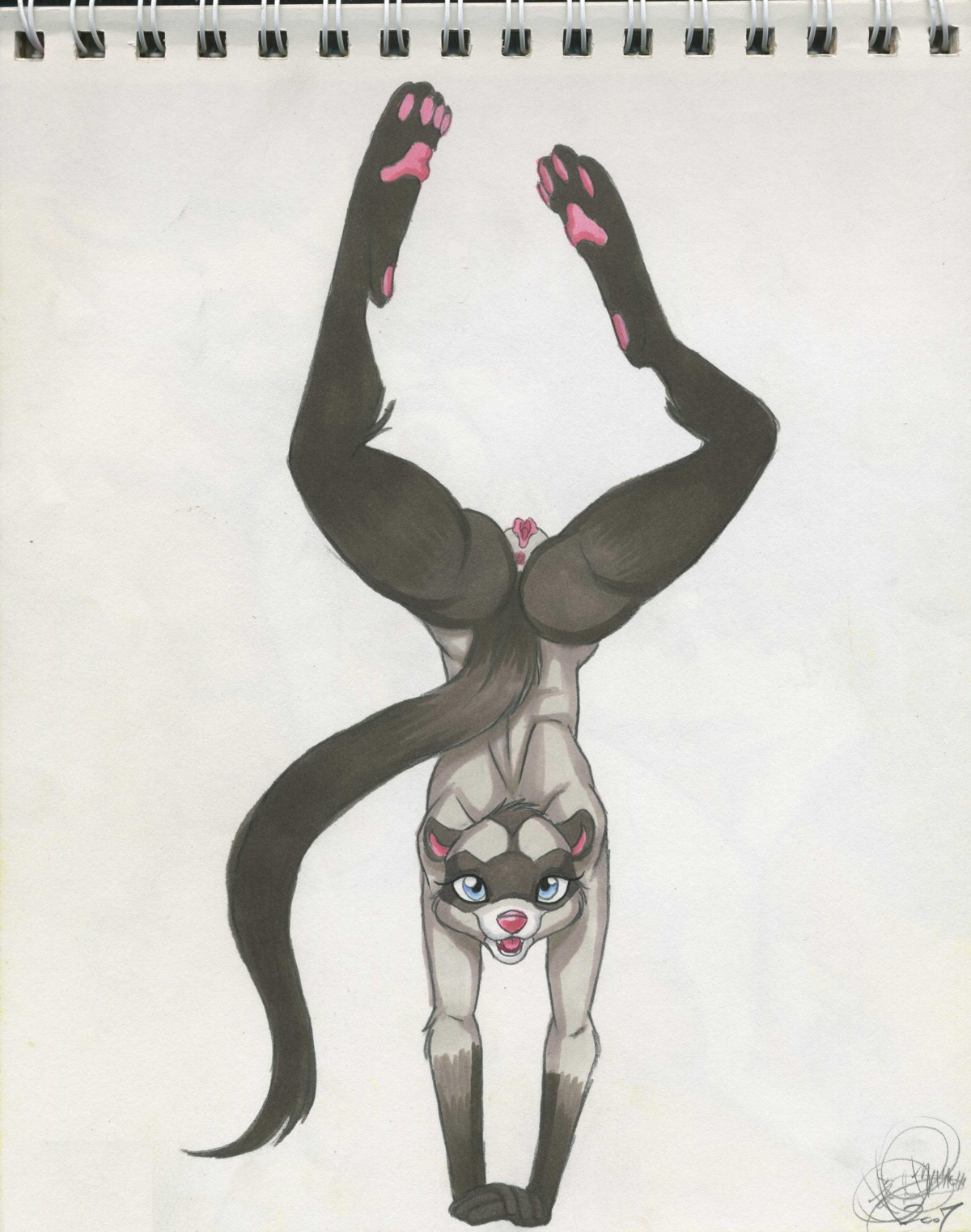 4_toes absurd_res anthro anus blue_eyes digitigrade domestic_ferret e621 feet female genitals handstand hi_res malachi mammal marker_(artwork) mustelid musteline nude pawpads pink_pawpads simple_background soles solo tail toes traditional_media_(artwork) true_musteline vulva weasel white_background