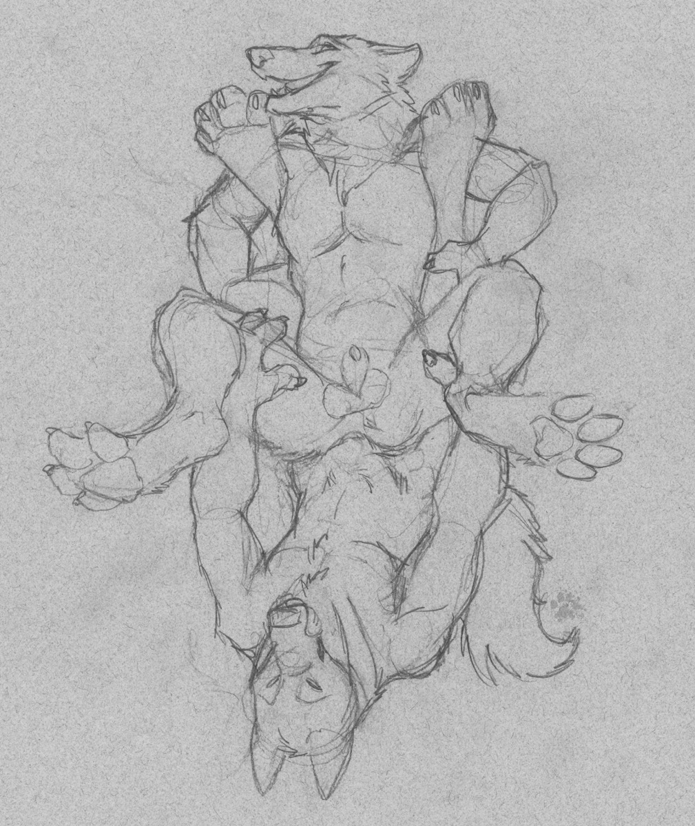 2009 anal anal_penetration animal_genitalia anthro balls balls_deep blotch canid canine duo e621 erection flaccid fully_sheathed genitals happy hi_res leg_grab male male/male male_penetrated male_penetrating male_penetrating_male mammal monochrome nude paws penetration penis penis_tip scratches_volume_3 sex sheath sheathed_while_penetrated sketch tail traditional_media_(artwork)