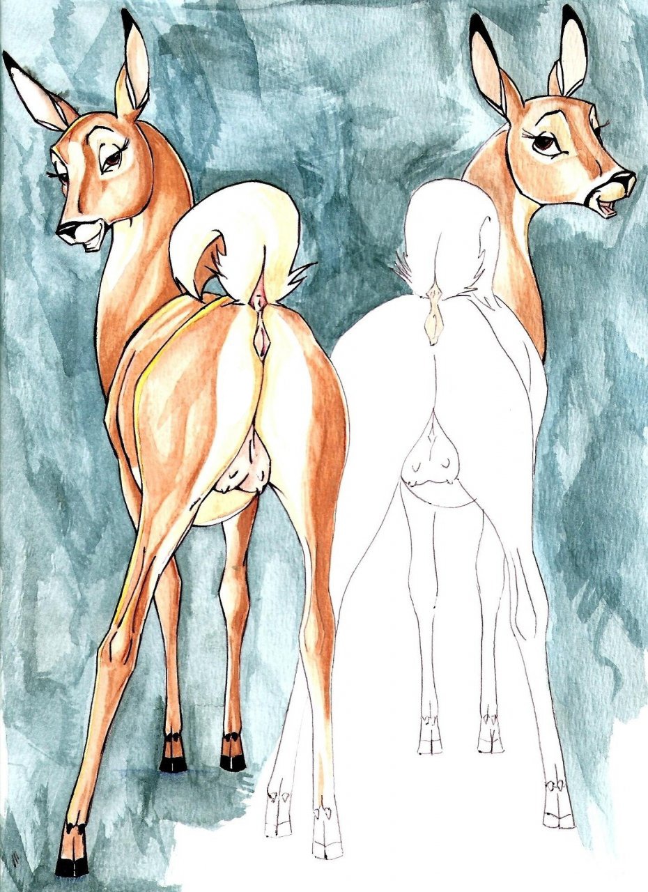 anus bambi_(film) cervine_pussy deer disney faline female feral klaus_doberman pussy rule34 tagme teats udders