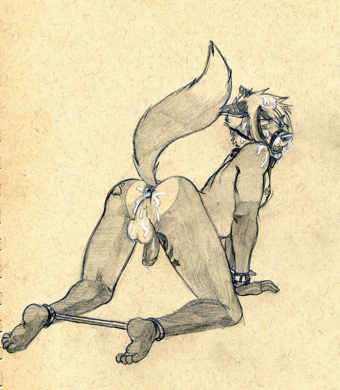 after_sex all_fours anthro anus backsack ball_gag balls bdsm bodily_fluids bondage bound canid canine collar cuff_(restraint) cum cum_in_ass cum_inside cum_on_face dripping e621 flaccid fox gag gagged gaping gaping_anus genital_fluids genitals halter handcuffs harness harness_ball_gag harness_gag humanoid_genitalia humanoid_penis looking_at_viewer looking_back male mammal metal_cuffs muzzle_(object) muzzled nude penis precum raised_tail restraints shackles solo spread_legs spreader_bar spreading submissive submissive_male tail tush_(artist)