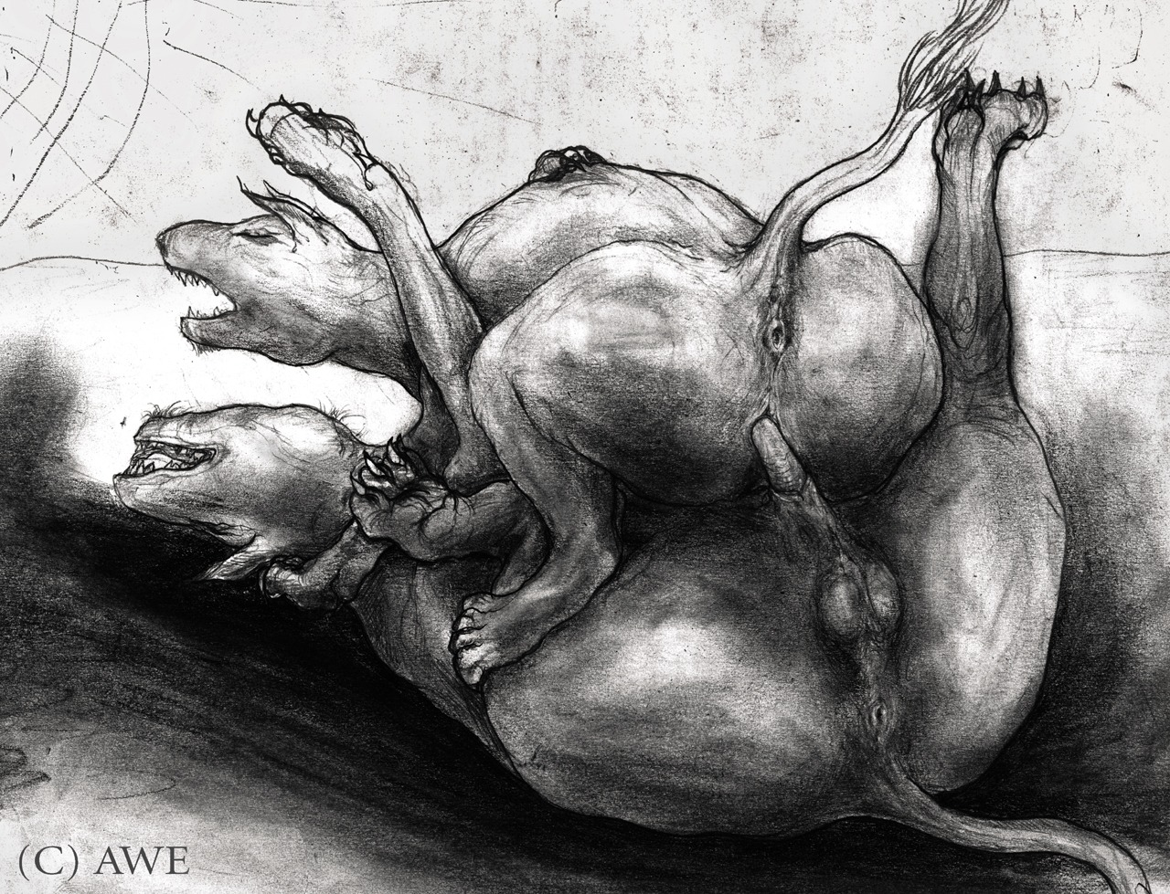 anus awe backsack balls cu_dish duo e621 erection eyes_closed female female_penetrated feral feral_on_feral genitals greyscale lying male male/female male_penetrating male_penetrating_female monochrome nude on_back penetration penile penile_penetration penis penis_in_vagina raised_tail sex tail unknown_species vaginal vaginal_penetration vulva