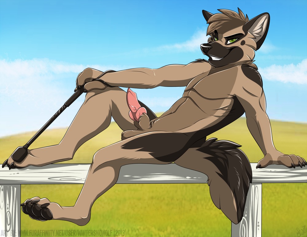 2013 animal_genitalia anthro biped brown_body brown_fur canid canine cel_shading claws detached_sheath digital_media_(artwork) e621 erection fence fur genitals green_eyes hair knot male mammal nude on_fence pawpads paws penis riding_crop shaded sheath sitting smile solo uperior vein whip wintersnowolf