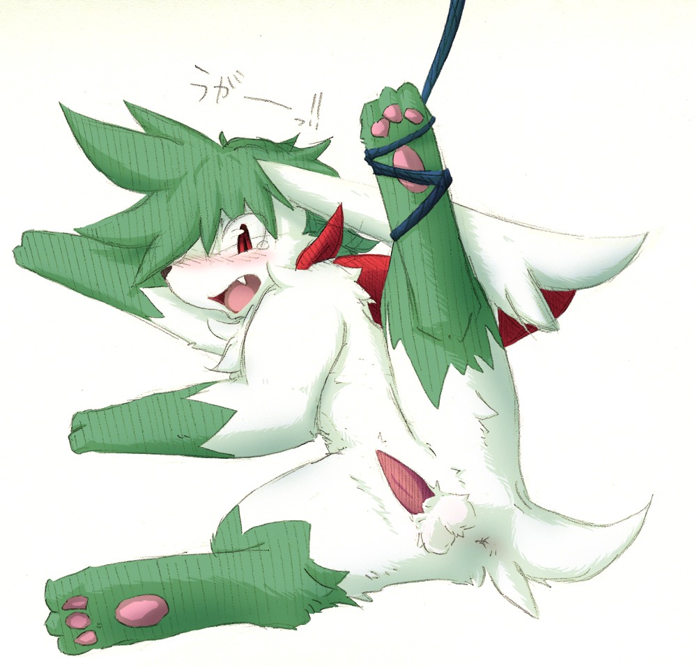 blush bound color feral fur lying male male_only nintendo nude on_side penis pokemon pokemon_(species) raised_leg rara red_eyes rule34 shaymin solo tagme
