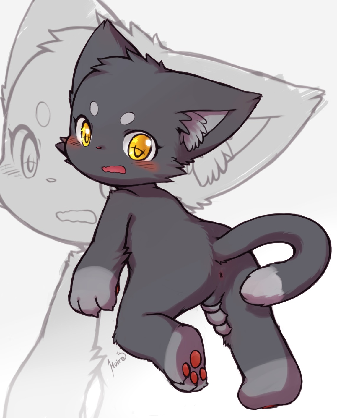 anthro anus backsack balls blush butt domestic_cat e621 felid feline felis fur genitals grey_body grey_fur hi_res huiro male mammal nervous nude open_mouth presenting presenting_anus shota simple_background solo tail white_background yellow_eyes young young_anthro young_male