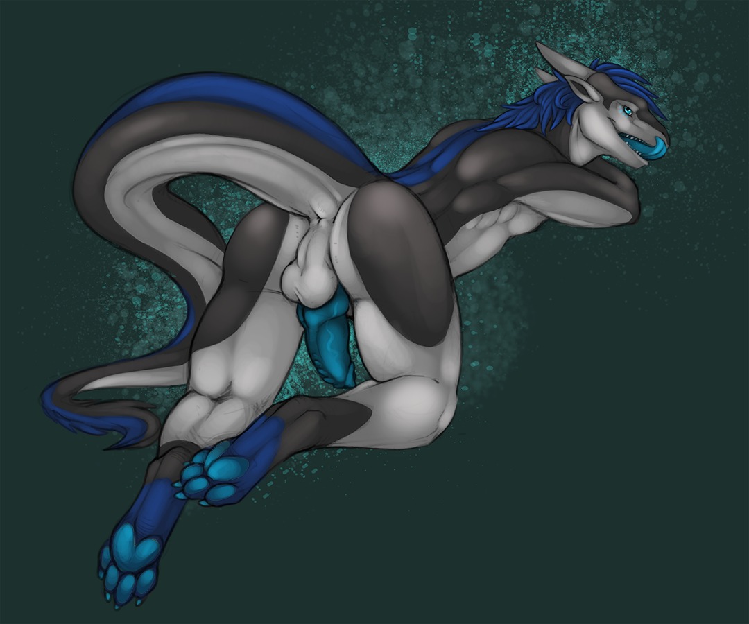 2012 4_toes 6:5 anthro anus backsack balls beauwolfhusky biped blue_eyes blue_hair blue_pawpads blue_penis butt claws conditional_dnp digitigrade dragon e621 erection feet fur genitals grey_body hair hindpaw horn knot looking_at_viewer looking_back lying male mythological_creature mythological_scalie mythology nude on_front open_mouth pawpads paws penis presenting scalie short_hair solo tail tail_tuft teeth toes tojo_the_thief tongue tongue_out tuft vein