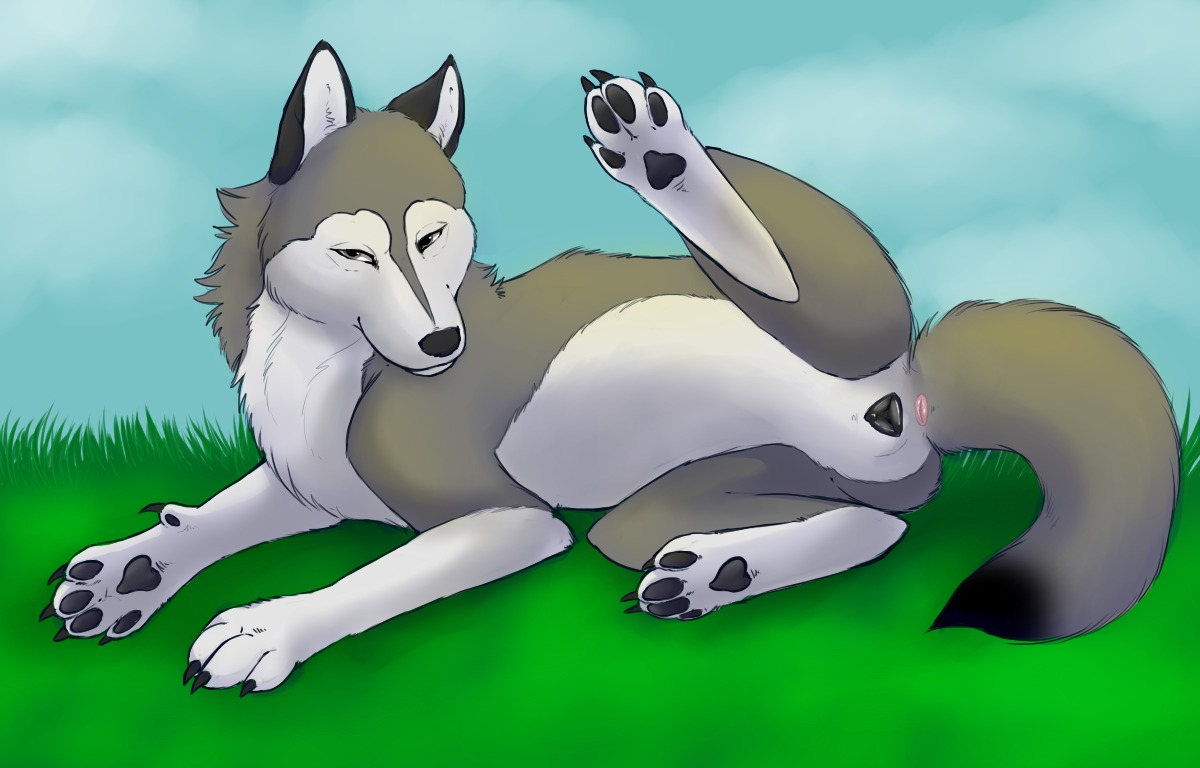 anatomically_correct anatomically_correct_genitalia anatomically_correct_vulva animal_genitalia animal_vulva anus bedroom_eyes canid canine canine_genitalia canine_vulva canis e621 feet female feral fur genitals half-closed_eyes hindpaw independence_(paper-wings) mammal narrowed_eyes paper-wings paws quadruped raised_leg seductive solo tail vulva wolf