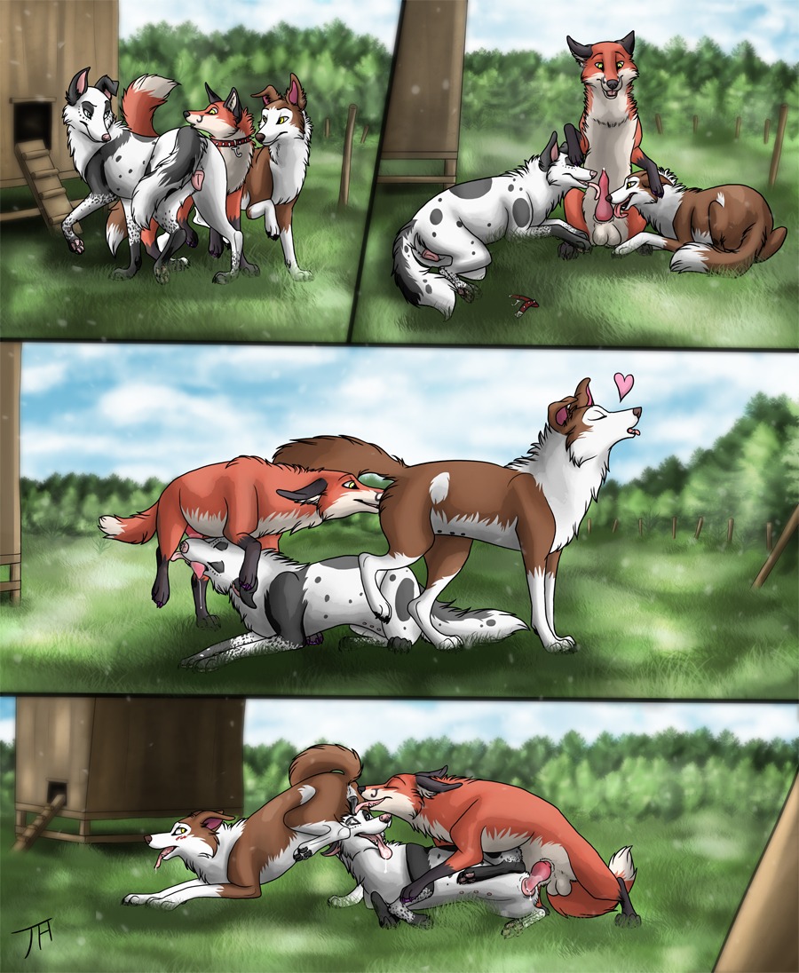 anatomically_correct animal_genitalia animal_vulva blush border_collie canid canine canine_genitalia canine_vulva canis collie comic domestic_dog e621 erection female feral feral_on_feral fox genitals group group_sex herding_dog interspecies licking male male/female male_penetrating mammal multi_nipple nipples oral pastoral_dog penetration penile penis penis_lick sex sheepdog sideways_oral tailshigh threesome tongue tongue_out trio vaginal vaginal_penetration vulva